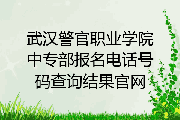 武汉警官职业学院中专部报名电话号码查询结果官网