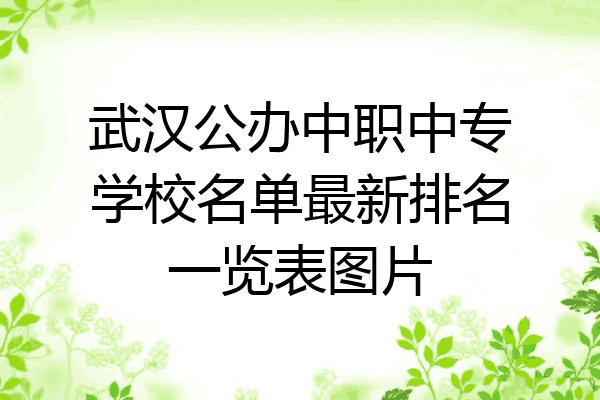 武汉公办中职中专学校名单最新排名一览表图片