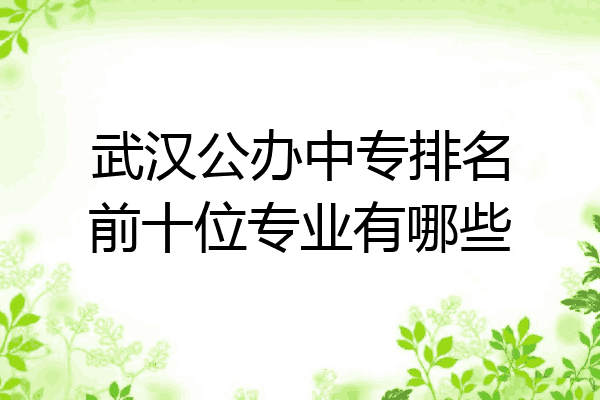 武汉公办中专排名前十位专业有哪些