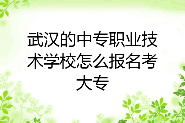 武汉的中专职业技术学校怎么报名考大专