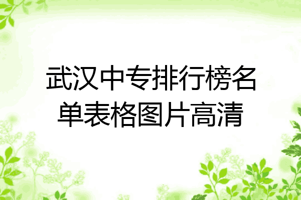 武汉中专排行榜名单表格图片高清