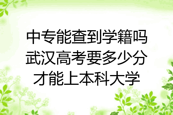 中专能查到学籍吗武汉高考要多少分才能上本科大学
