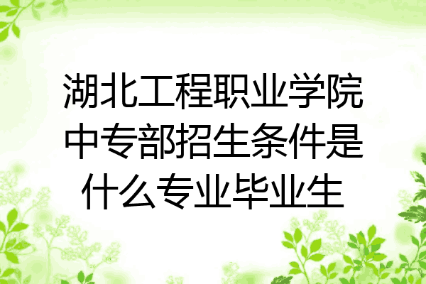 湖北工程职业学院中专部招生条件是什么专业毕业生
