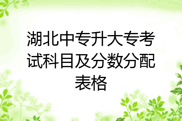 湖北中专升大专考试科目及分数分配表格