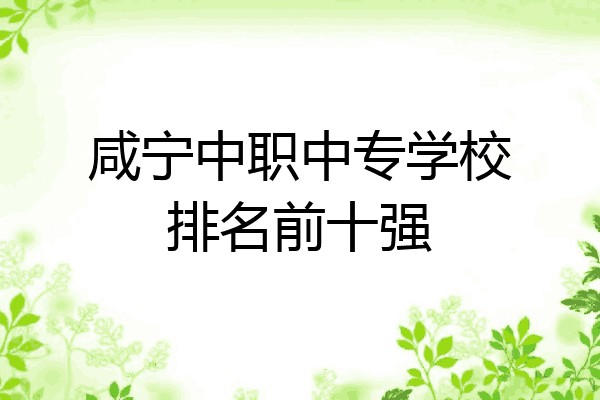 咸宁中职中专学校排名前十强