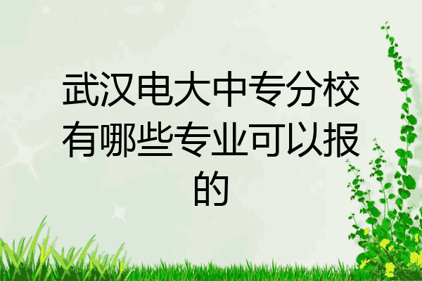 武汉电大中专分校有哪些专业可以报的