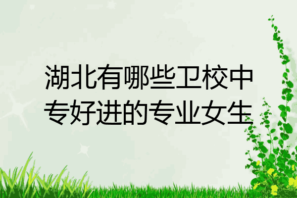 湖北有哪些卫校中专好进的专业女生