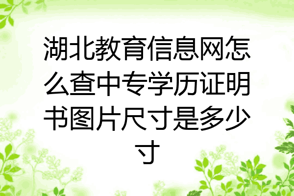 湖北教育信息网怎么查中专学历证明书图片尺寸是多少寸