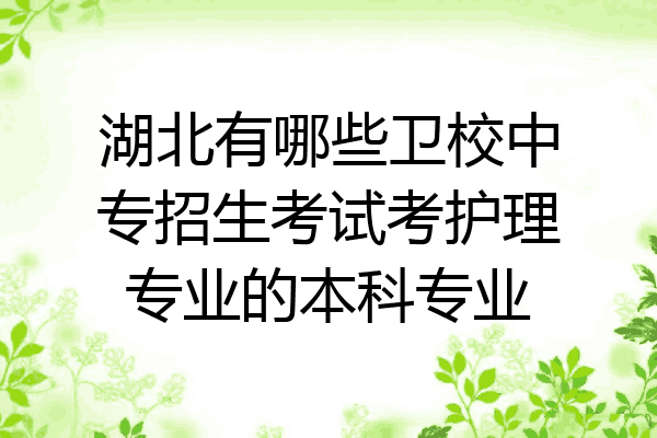 湖北有哪些卫校中专招生考试考护理专业的本科专业