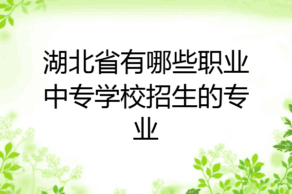 湖北省有哪些职业中专学校招生的专业