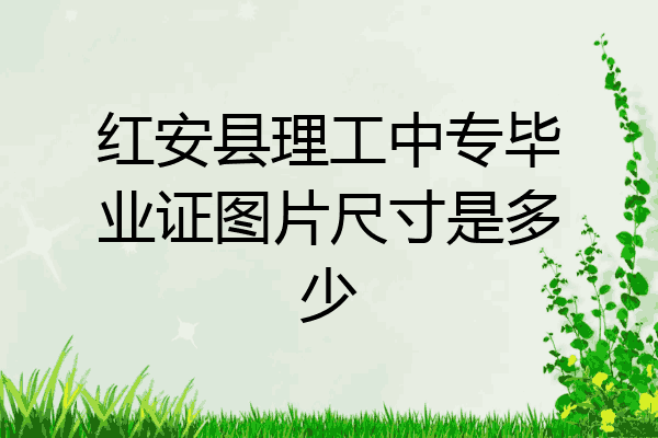 红安县理工中专毕业证图片尺寸是多少