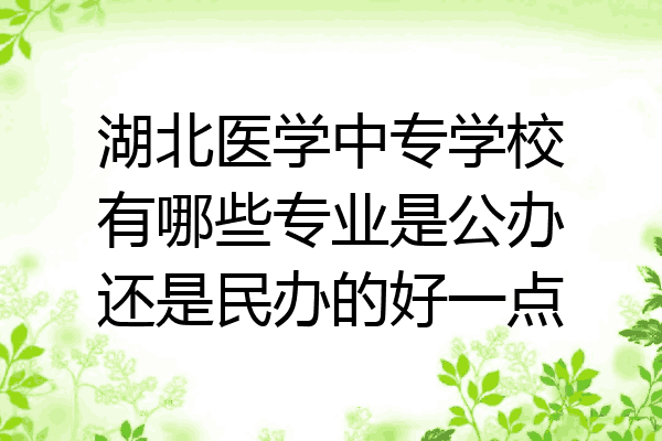 湖北医学中专学校有哪些专业是公办还是民办的好一点