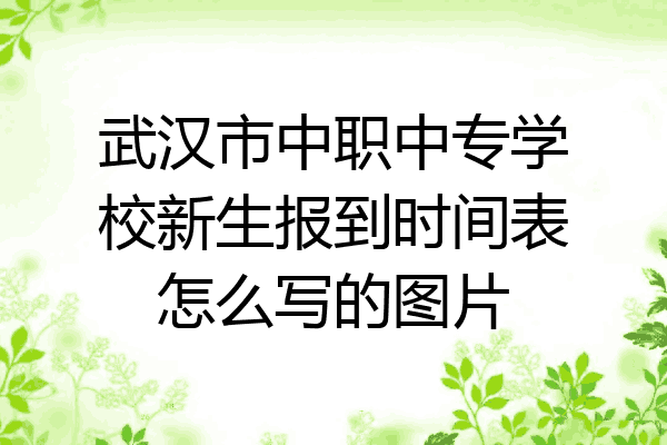 武汉市中职中专学校新生报到时间表怎么写的图片