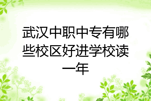 武汉中职中专有哪些校区好进学校读一年
