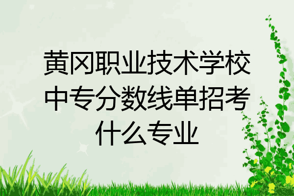 黄冈职业技术学校中专分数线单招考什么专业