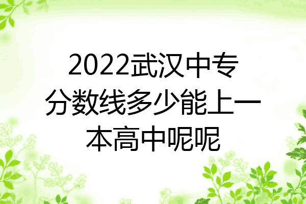 2022武汉中专分数线多少能上一本高中呢呢