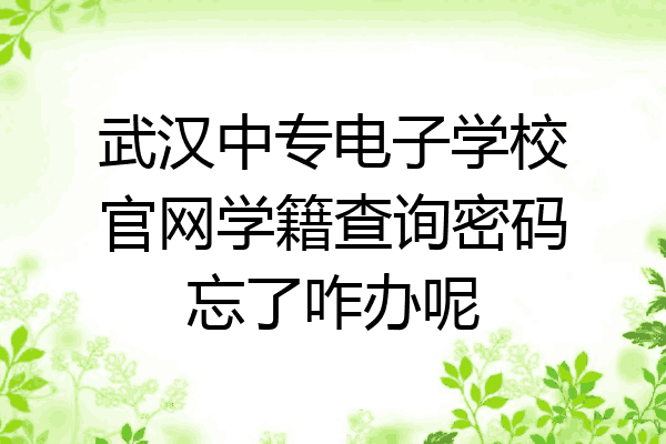 武汉中专电子学校官网学籍查询密码忘了咋办呢