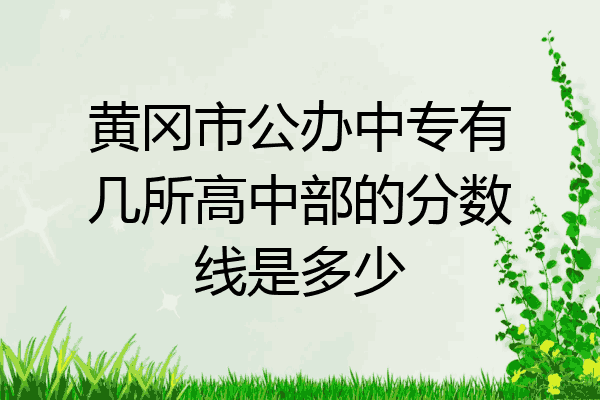 黄冈市公办中专有几所高中部的分数线是多少