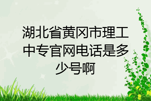 湖北省黄冈市理工中专官网电话是多少号啊