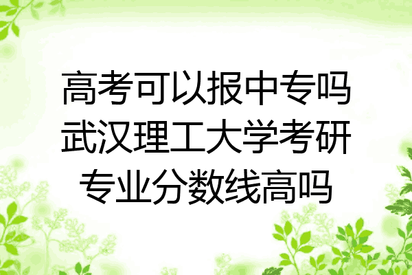 高考可以报中专吗武汉理工大学考研专业分数线高吗