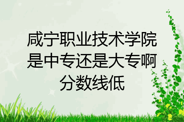 咸宁职业技术学院是中专还是大专啊分数线低
