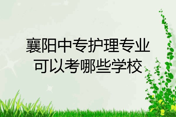 襄阳中专护理专业可以考哪些学校