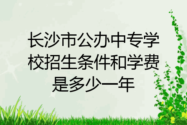 长沙市公办中专学校招生条件和学费是多少一年