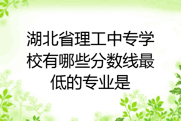 湖北省理工中专学校有哪些分数线最低的专业是
