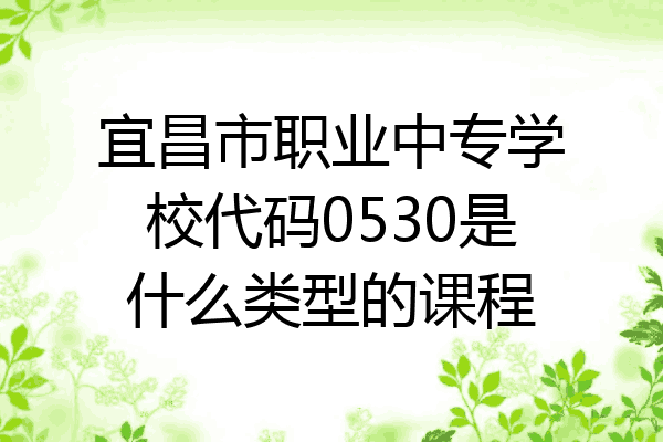 宜昌市职业中专学校代码0530是什么类型的课程