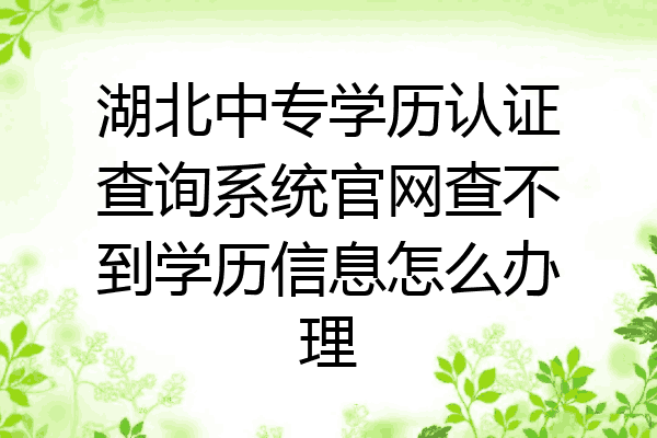 湖北中专学历认证查询系统官网查不到学历信息怎么办理