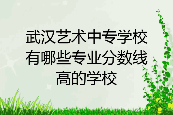 武汉艺术中专学校有哪些专业分数线高的学校