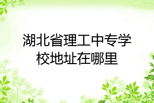 湖北省理工中专学校地址在哪里