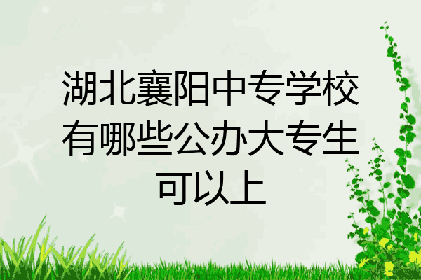 湖北襄阳中专学校有哪些公办大专生可以上