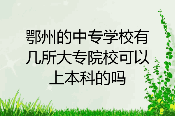 鄂州的中专学校有几所大专院校可以上本科的吗