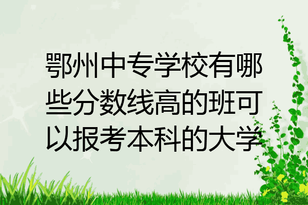 鄂州中专学校有哪些分数线高的班可以报考本科的大学