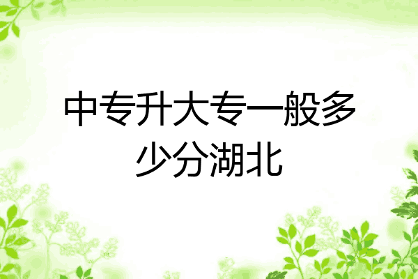 中专升大专一般多少分湖北