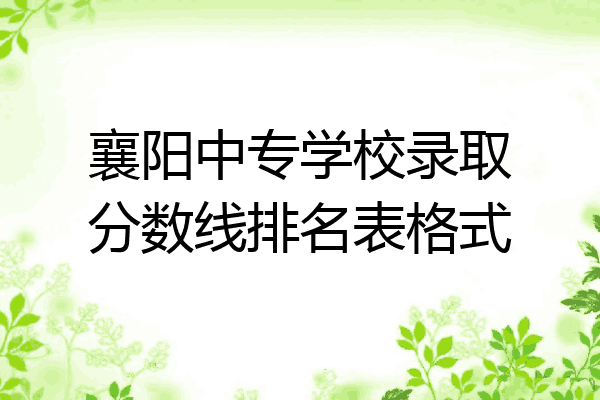 襄阳中专学校录取分数线排名表格式