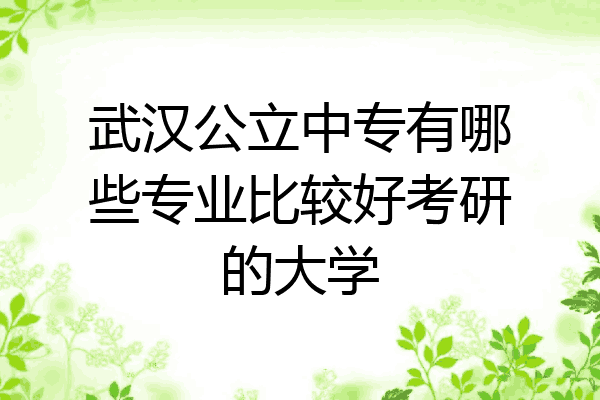 武汉公立中专有哪些专业比较好考研的大学