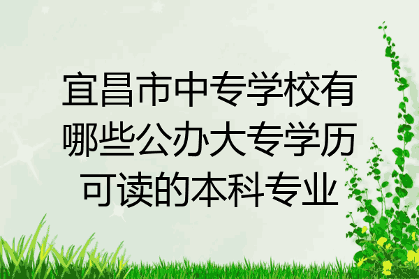 宜昌市中专学校有哪些公办大专学历可读的本科专业