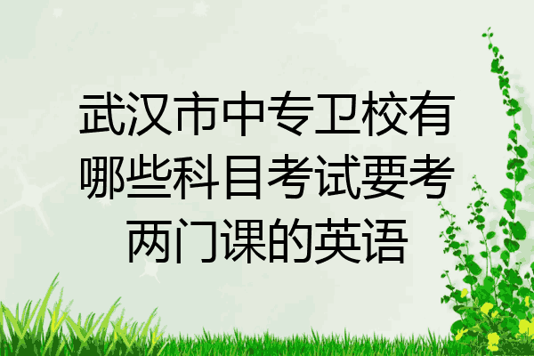 武汉市中专卫校有哪些科目考试要考两门课的英语