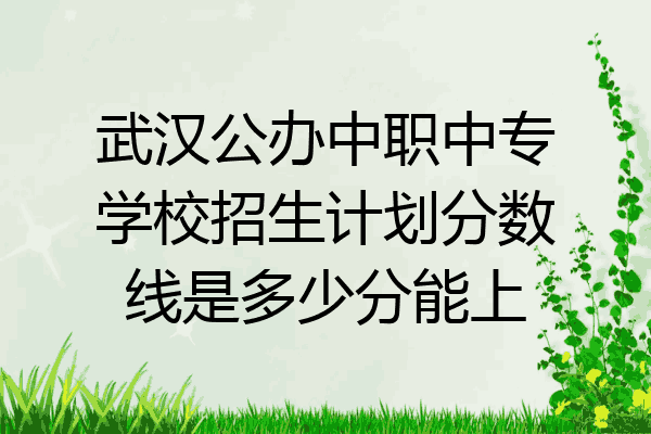 武汉公办中职中专学校招生计划分数线是多少分能上