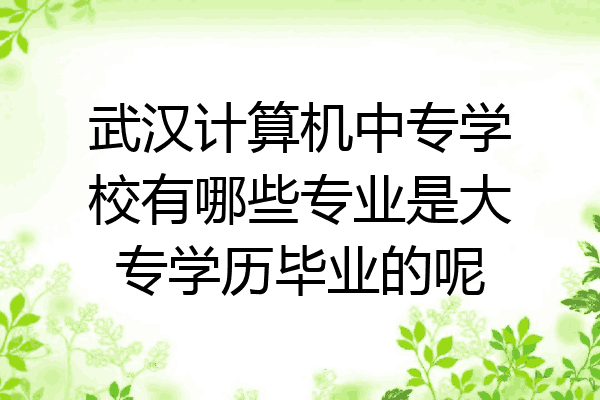 武汉计算机中专学校有哪些专业是大专学历毕业的呢