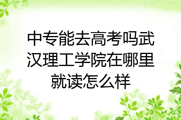 中专能去高考吗武汉理工学院在哪里就读怎么样