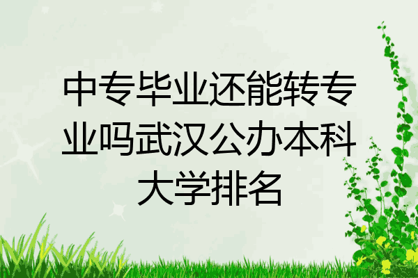 中专毕业还能转专业吗武汉公办本科大学排名