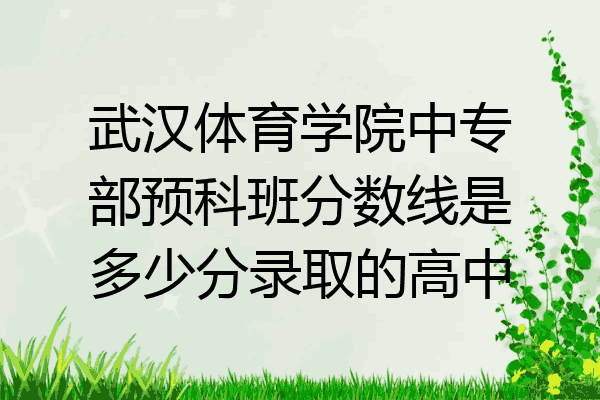 武汉体育学院中专部预科班分数线是多少分录取的高中