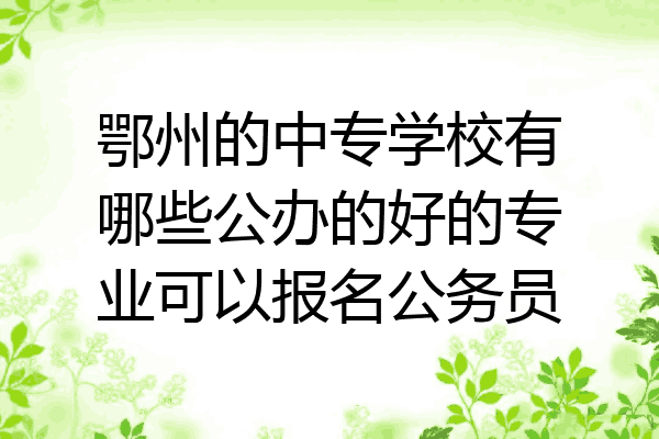鄂州的中专学校有哪些公办的好的专业可以报名公务员
