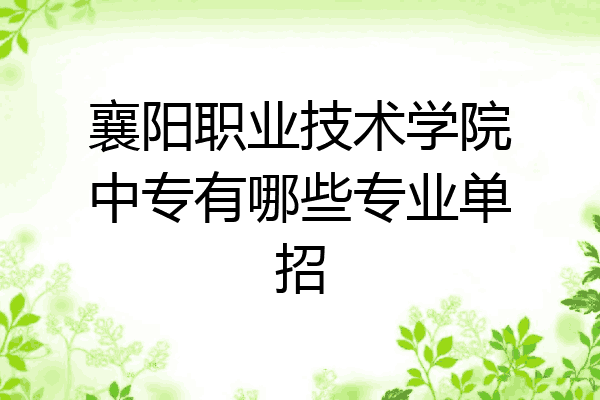 襄阳职业技术学院中专有哪些专业单招