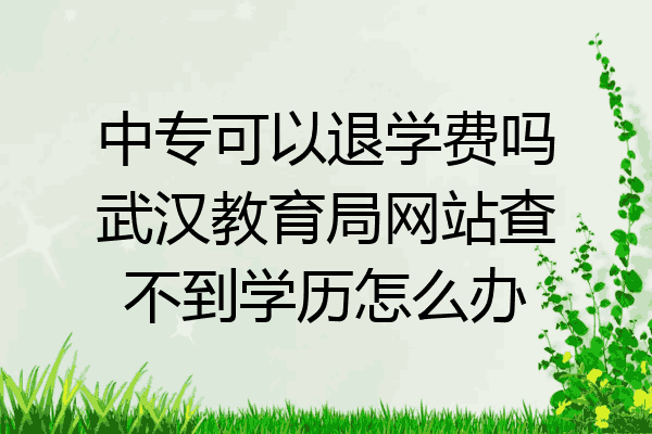 中专可以退学费吗武汉教育局网站查不到学历怎么办