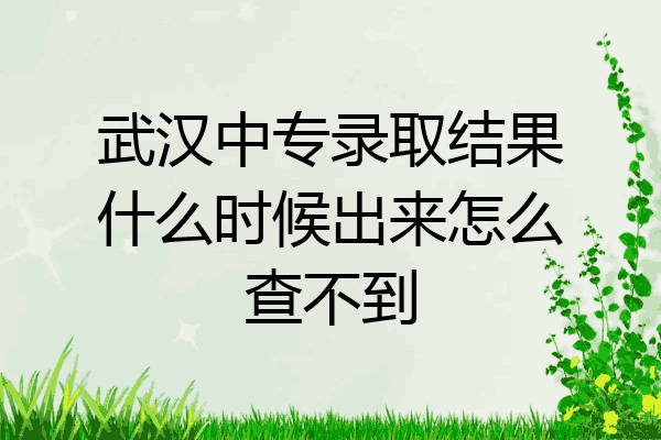 武汉中专录取结果什么时候出来怎么查不到