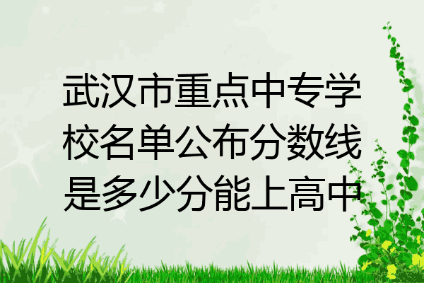 武汉市重点中专学校名单公布分数线是多少分能上高中